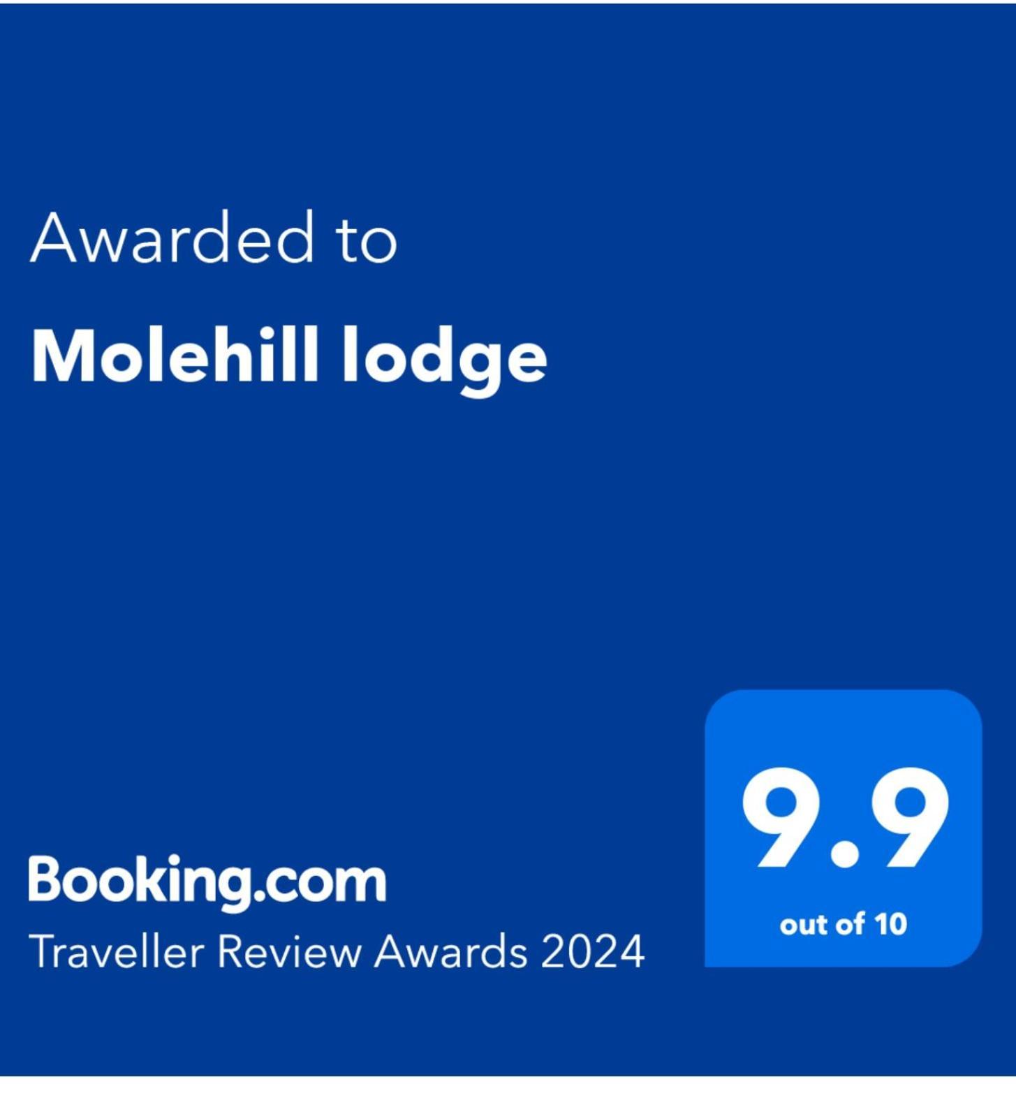 Molehill Lodge Суонси Экстерьер фото